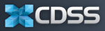 CODIM SOLUTIONS and SERVICES LLP