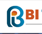 BITECH INFOSOFT PRIVATE LIMITED