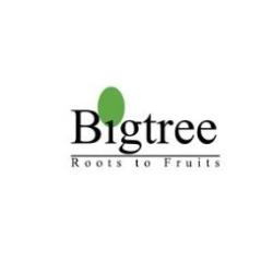 Bigtree Entertainment Pvt. Ltd