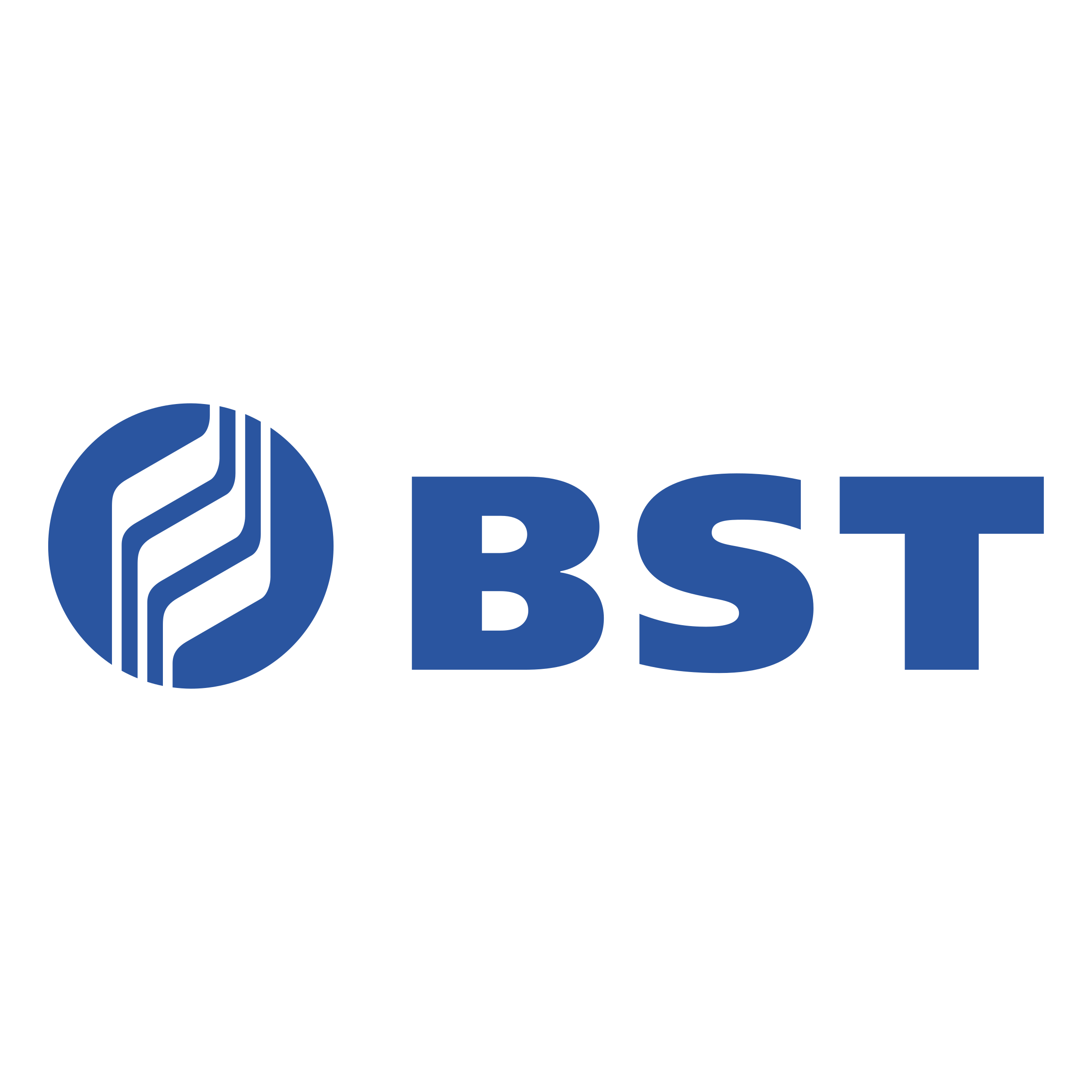 Bhukya Software Technologies