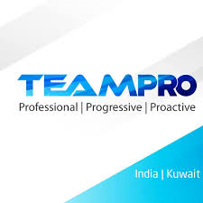 TeamPRO HR IT Services Pvt. Ltd.