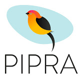 Pipra Solutions Pvt. Ltd.
