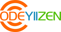 Codeyiizen Software  Services Pvt Ltd.