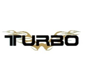 Turbo Megha Aviation