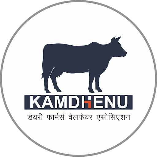 KAMDHENU DAIRY